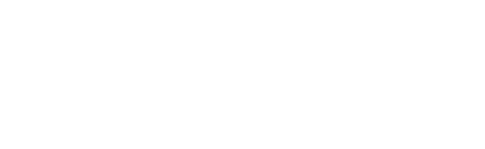 대한뇌혈관내치료의학회 Society Of Korean Endovascular Neurosurgeons